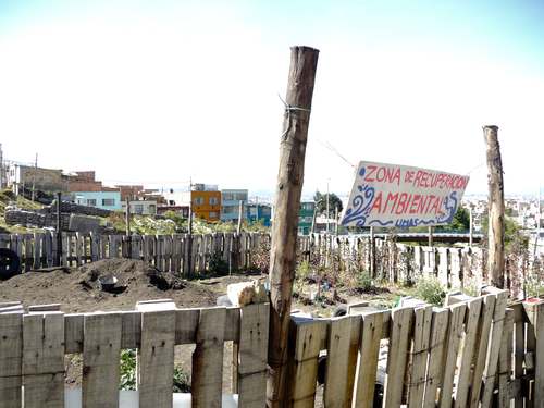 Moestuin in Ciudad Bolivar