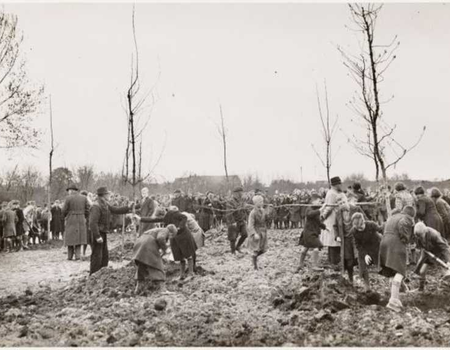 De aanleg van het Flevopark