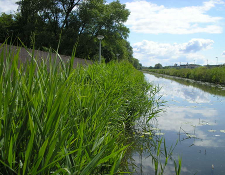 De plek des onheils. Links de muur van de begraafplaats. Rechts de Oosterringdijk, waar eens de gasfabriek stond en in het midden het water van de ringvaart .