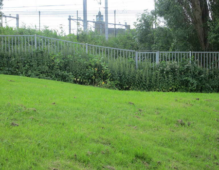 Foto genomen vanaf de dijk langs de Molukkenstraat tegenover het voormalige gebouw van Utermöhlen.