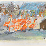 Rie Wouda-Letterie,  Flamingo's in Artis , ca. 1978.