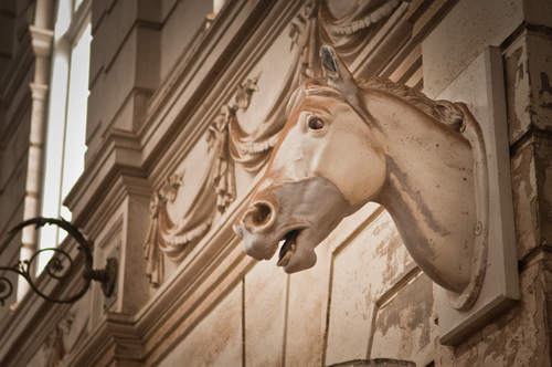 Foto uit interieur Hollandsche Manege. Foto van website Levend Paardenmuseum, 2014.