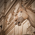 Foto uit interieur Hollandsche Manege. Foto van website Levend Paardenmuseum, 2014.