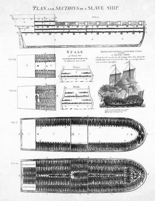 Plan and sections of a slave ship