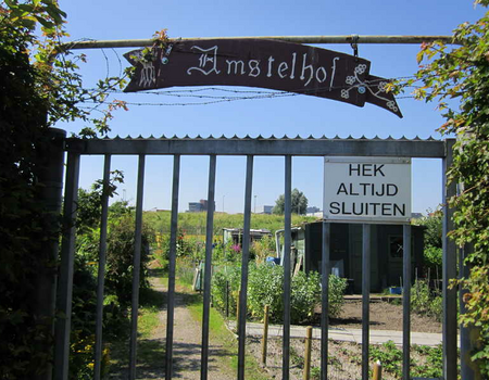 Volkstuinencomplex Amstelhof met op de achtergrond de ringdijk.