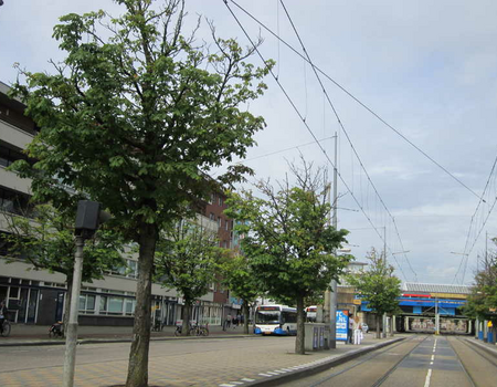 De Insulindeweg bij het Muiderpoortstation.