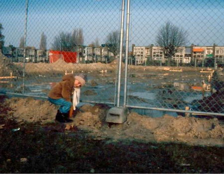 Het experiment met de groene huizen