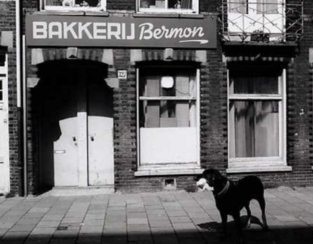 Vrolikstraat 327 -  1993