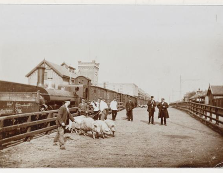 Cruquiusweg, Recht de stallen van de Veemarkt. Op de voorgrond varkenhandelaars. 1920. Foto: Stadsarchief Amsterdam.