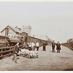 Cruquiusweg, Recht de stallen van de Veemarkt. Op de voorgrond varkenhandelaars. 1920. Foto: Stadsarchief Amsterdam.