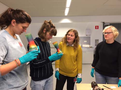 Olivia van Rooijen, Carien van Aubel, Rianne van Wijnen en Rebecca Romijn buigen zich over de regenbooglaarsjes