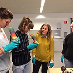 Olivia van Rooijen, Carien van Aubel, Rianne van Wijnen en Rebecca Romijn buigen zich over de regenbooglaarsjes