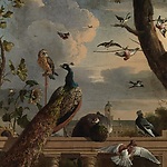 Vogels bij een balustrade met in de achtergrond het Stadhuis / Melchior d' Hondecoeter (1636-1695)